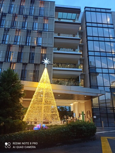 Assisi Hospice Christmas Light-Up 2019